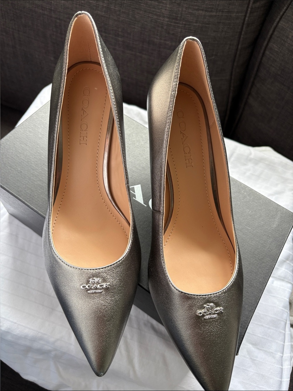 Coach Pewter Metallic Pointed-Toe Pumps